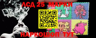сатива Новозыбков