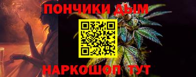 сатива Новозыбков