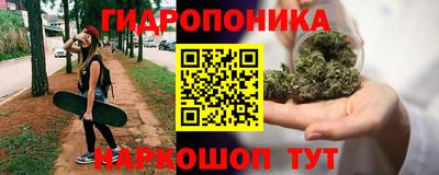 сатива Новозыбков