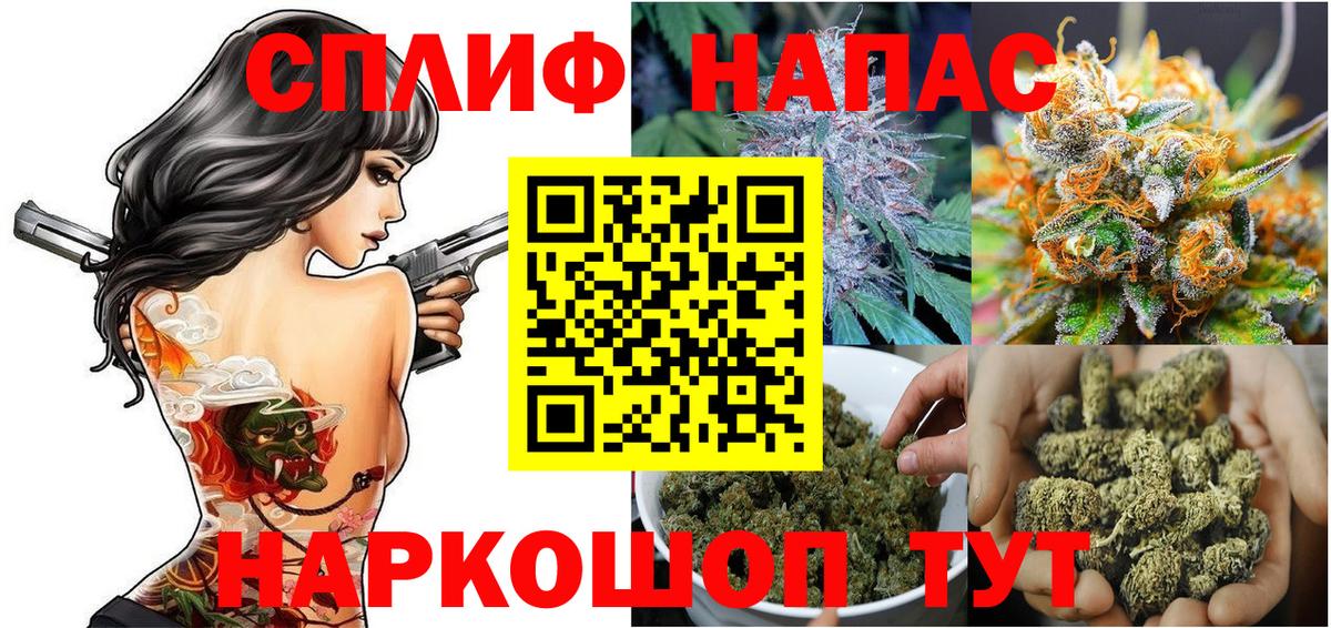 Бошки Шишки план  Вход с VPN  Сланцы  Канабис индика  МАРИХУАНА Ganja 